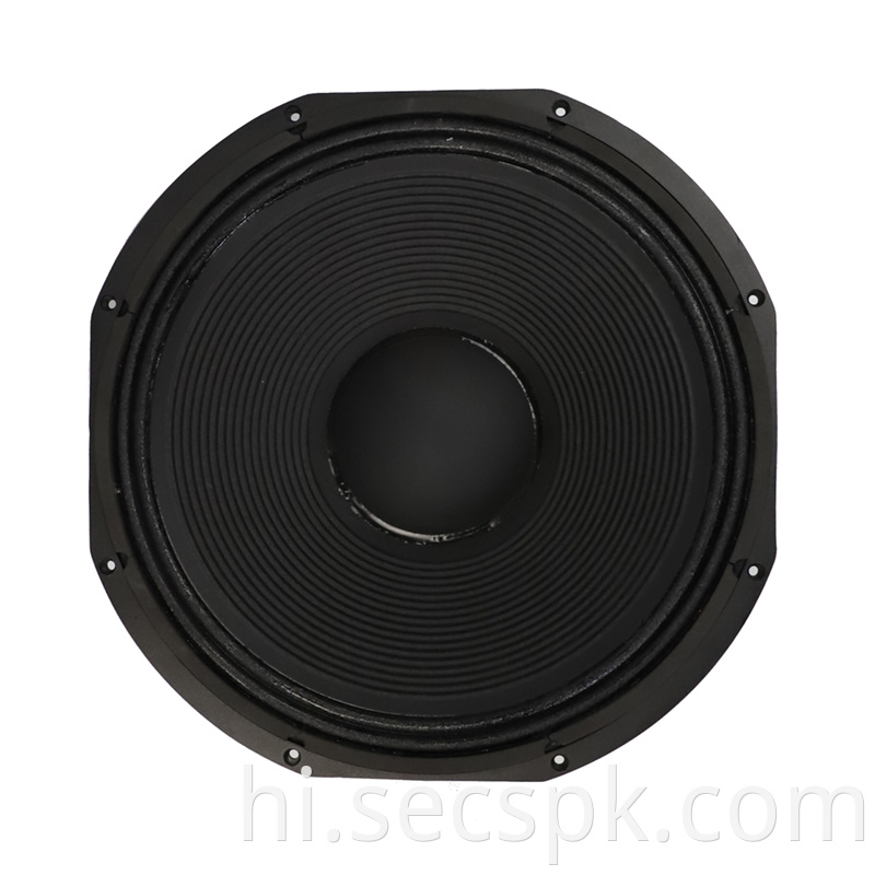 8ohm Stage Concert Speaker